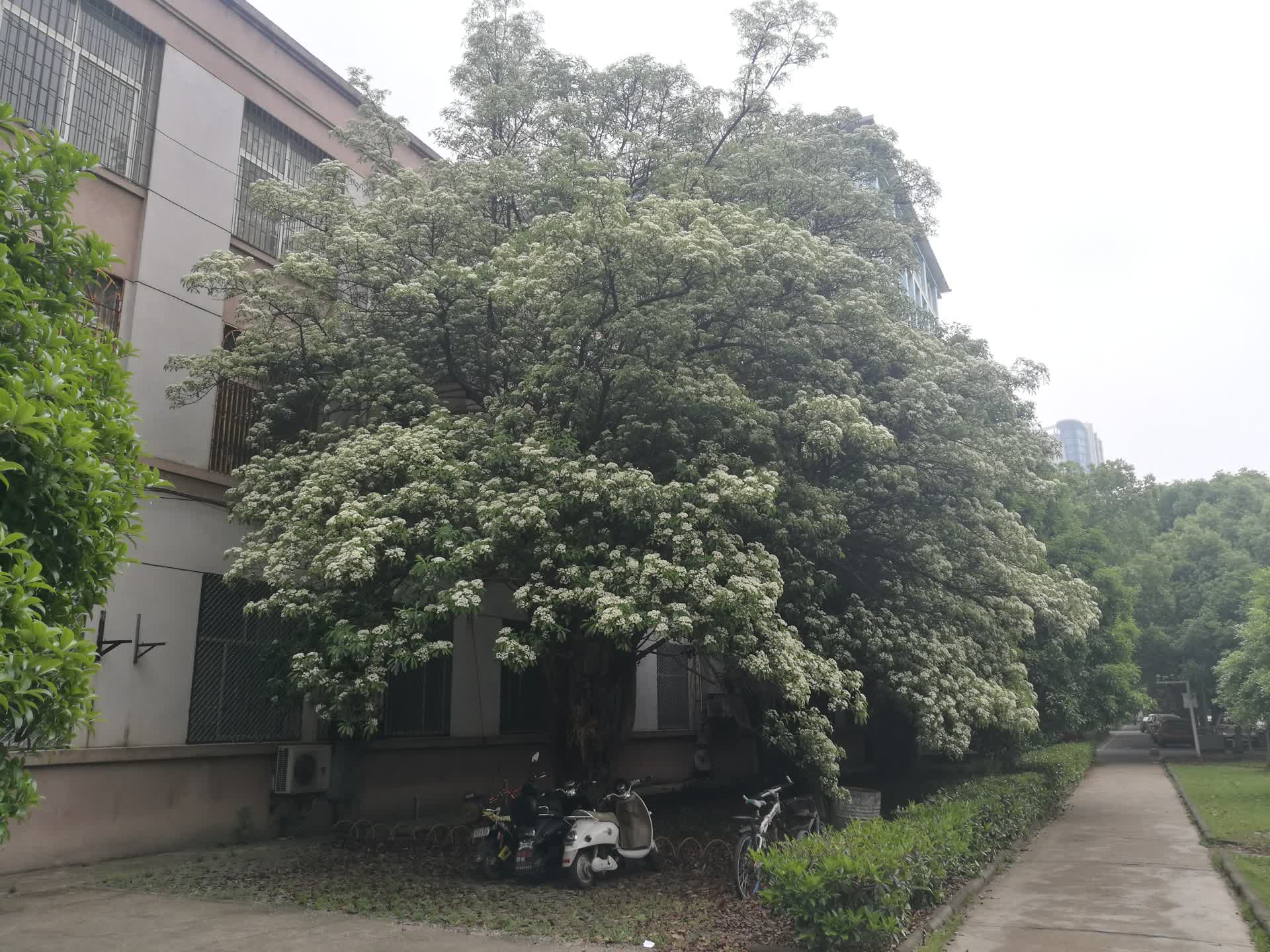 写在开博前的话